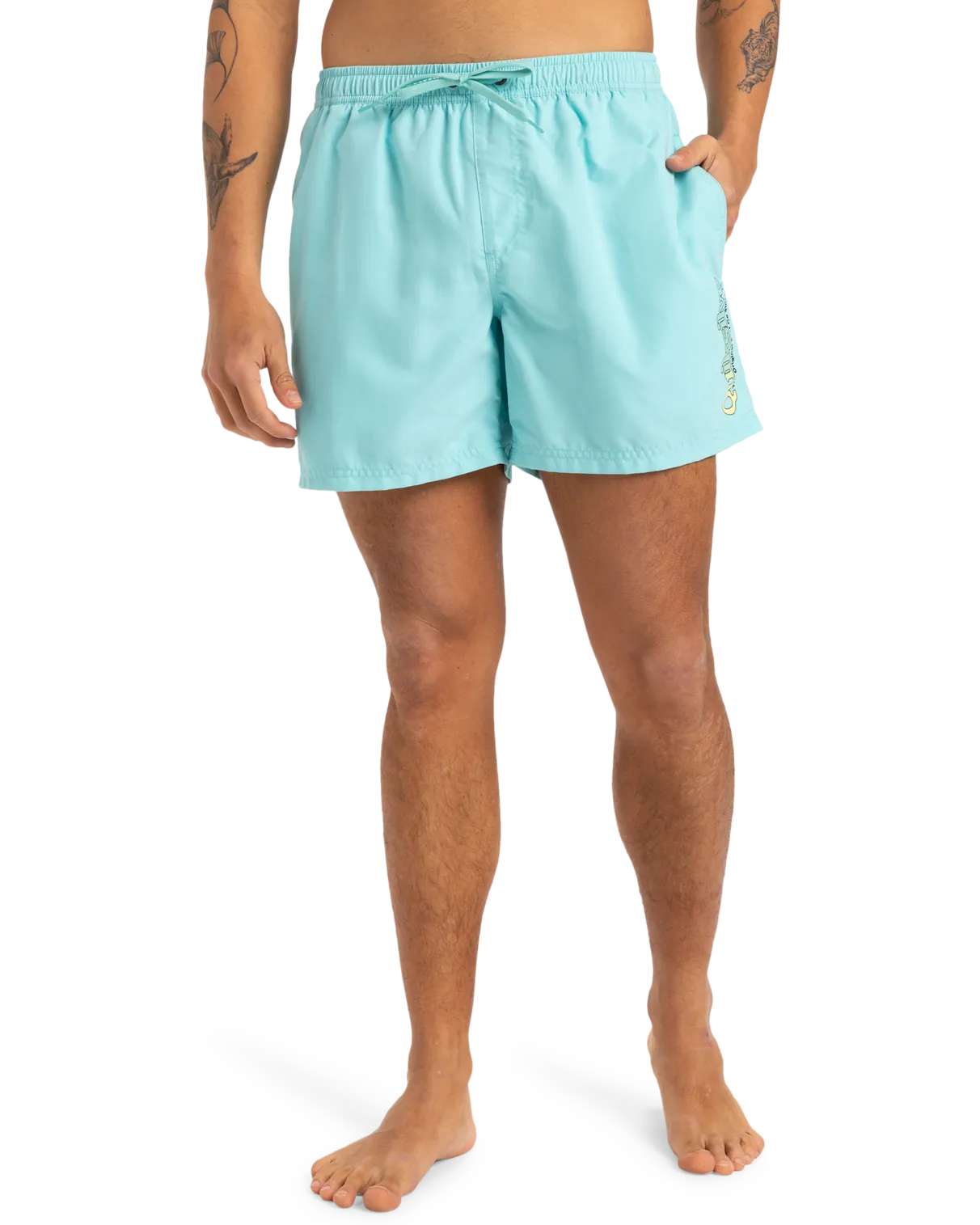 Fineline Volley Shorts in Aqua Sky
