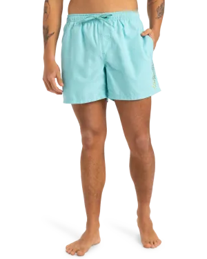 Fineline Volley Shorts in Aqua Sky