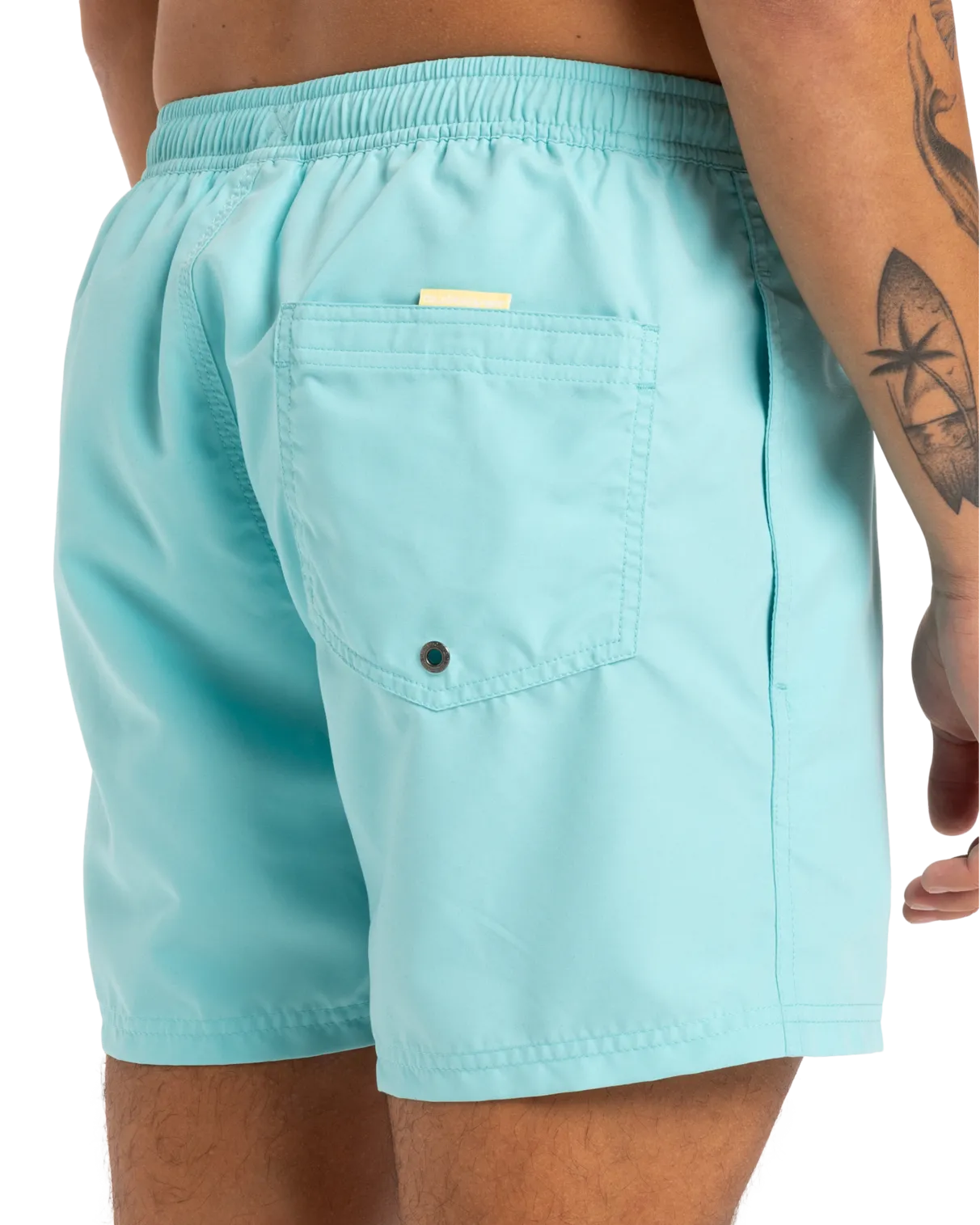 Fineline Volley Shorts in Aqua Sky